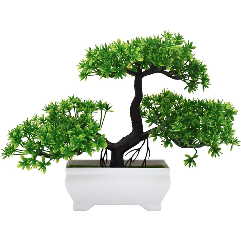 Sztuczne Bonsai Plastikowe Bio – Home Office Layout recenzja i cena