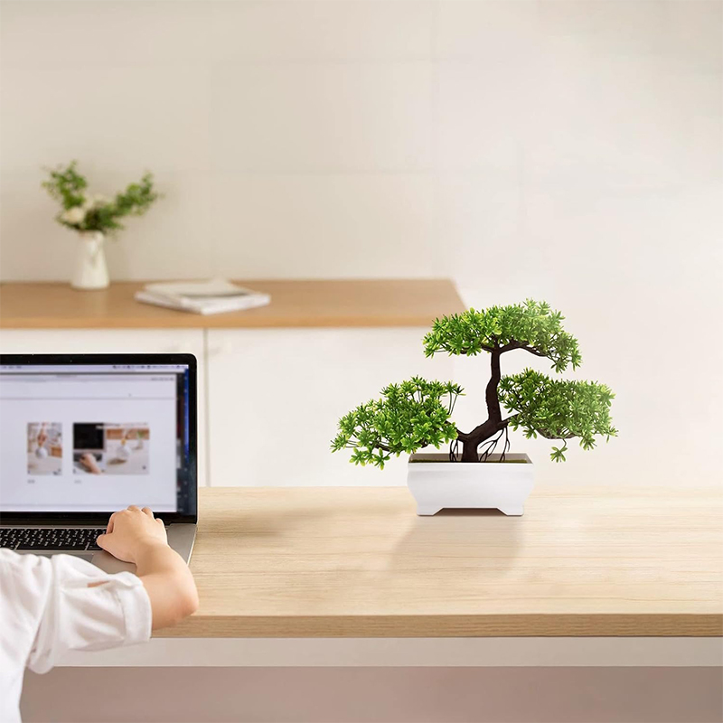 Sztuczne Bonsai Plastikowe Bio – Home Office Layout recenzja i cena