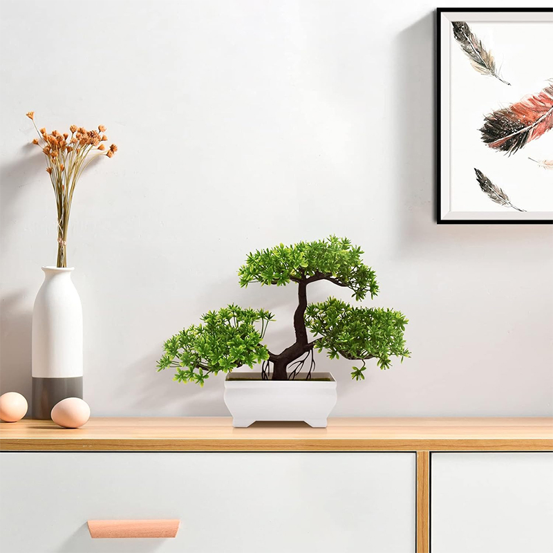 Sztuczne Bonsai Plastikowe Bio – Home Office Layout recenzja i cena